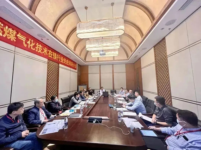 清潔燃煤氣化技術(shù)鎂行業(yè)的應用研討會順利召開