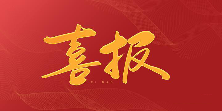 安徽科達(dá)潔能“高效清潔氣化技術(shù)產(chǎn)業(yè)創(chuàng)新團(tuán)隊(duì)”榮獲“安徽省工程師團(tuán)隊(duì)獎”